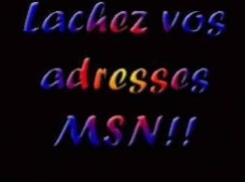 msn